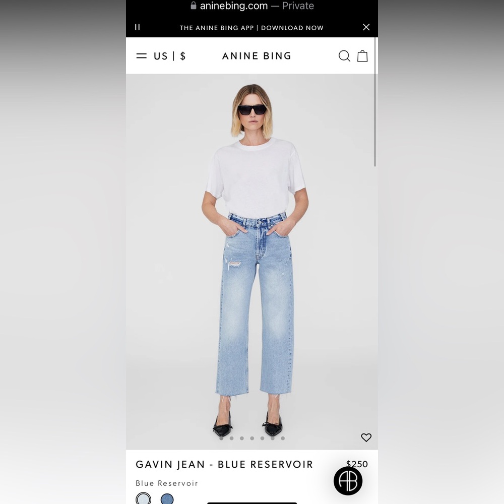Anine Bing Gavin Jeans